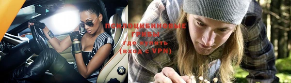 марки lsd Новодвинск
