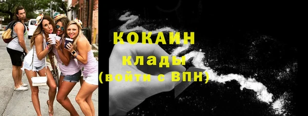 шишки Нея