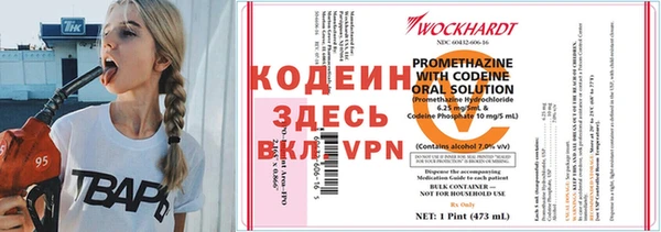 шишки Нея