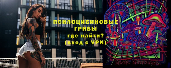 шишки Нея