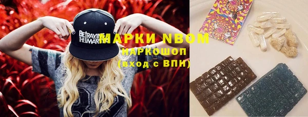 шишки Нея