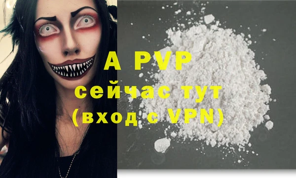 шишки Нея