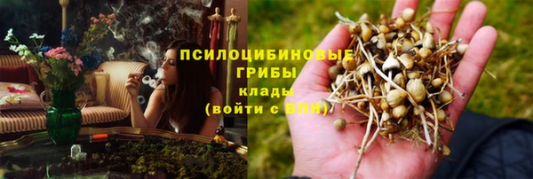эйфоретик Нефтекумск