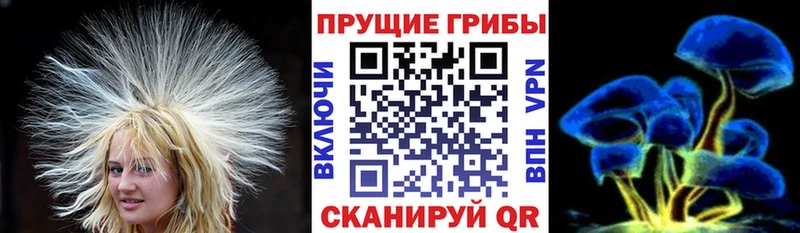 Галлюциногенные грибы мицелий  где купить наркоту  Нюрба 